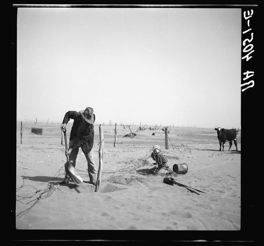 Dust bowl farmer raising fence to keep it from being buried under drifting sand. Cimarron County, Oklahoma