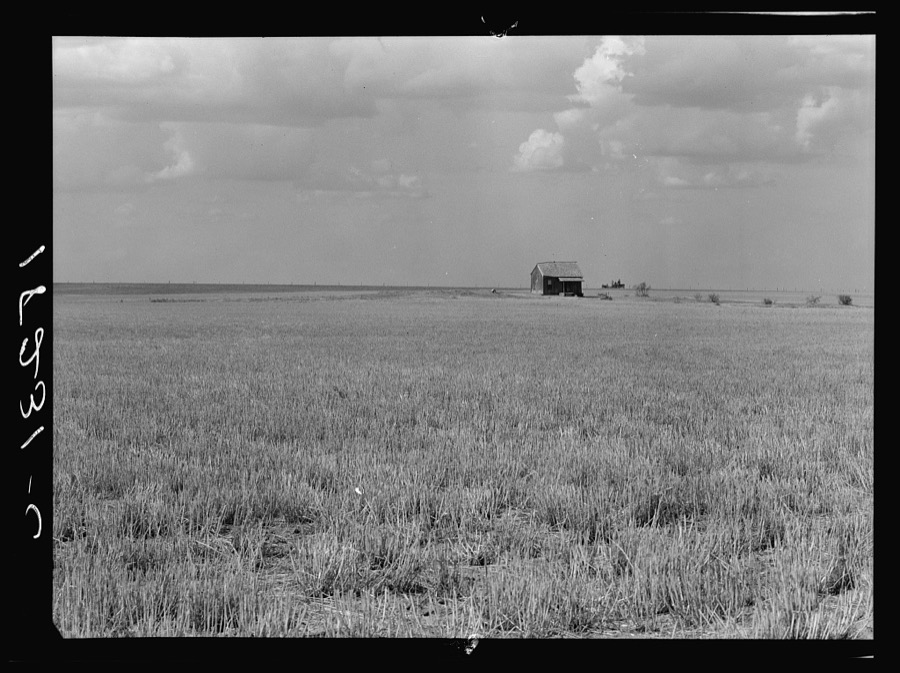 Abandoned farm home in wheat field near Gould, Oklahoma