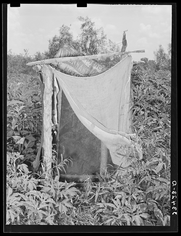 Privy of agricultural day laborers living in the Arkansas River bottom near Webbers Falls, Oklahoma. Muskogee County