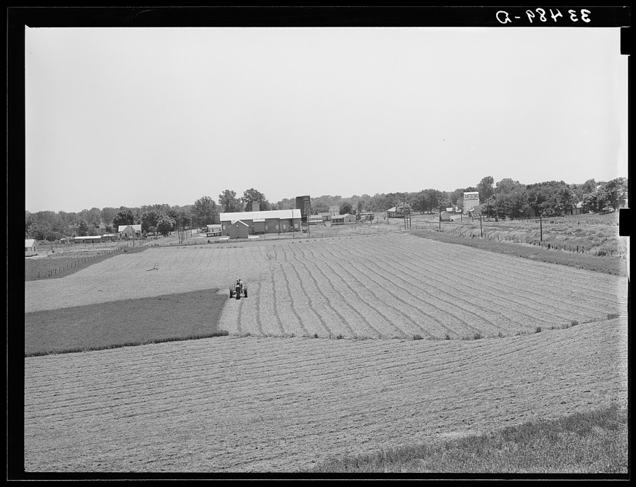 Cutting field of alfalfa with tractor-drawn equipment near Prague, Oklahoma