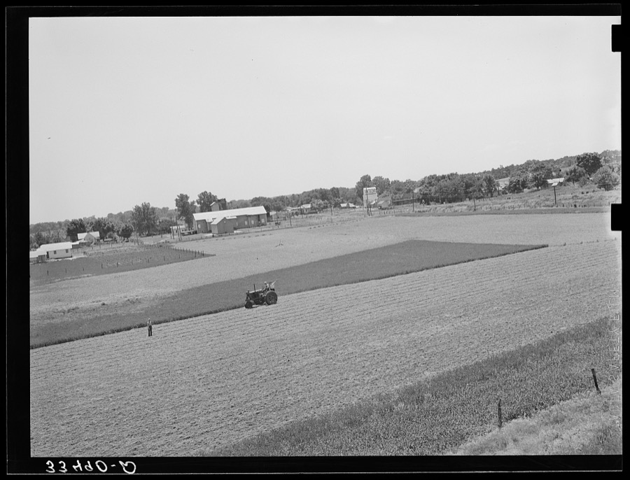Cutting field of alfalfa with tractor-drawn equipment near Prague, Oklahoma