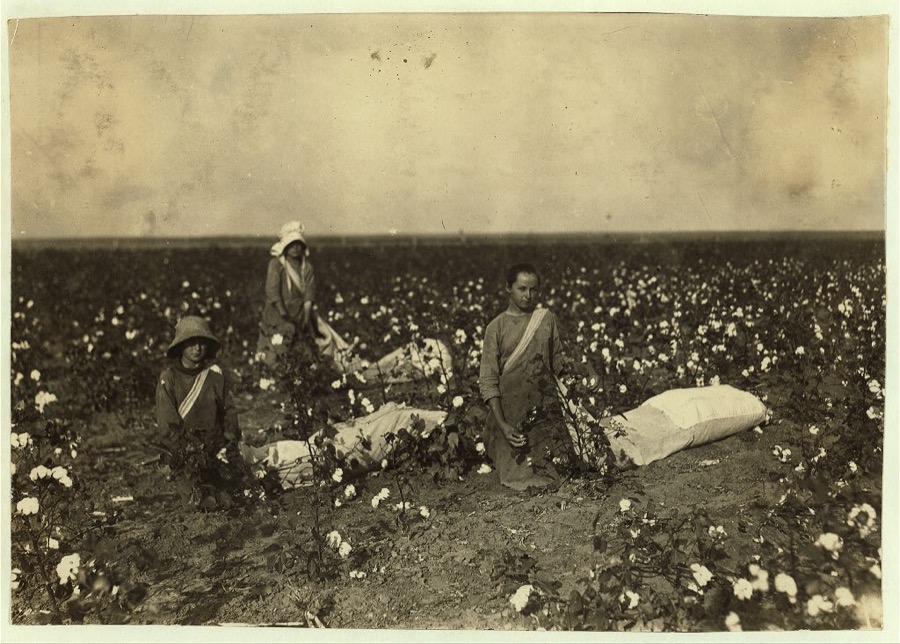 Children of Mrs. Lawrence, a renter near Tinney, Okla. They go to Prairie Lee School. Beula is 13 years old and picks about 200 pounds a day when cotton is good. She drags and carries a bag that holds 50 pounds and more before it is emptied. Norma is 10 years old and picks from 100 to 150 pounds a day. Drags the sack which often holds 50 pounds or more before emptied. Randall is 9 years old; has picked over 100 pounds a day--usually less. He does not carry quite so large a sackful as his sisters.  Location: Comanche County, Oklahoma