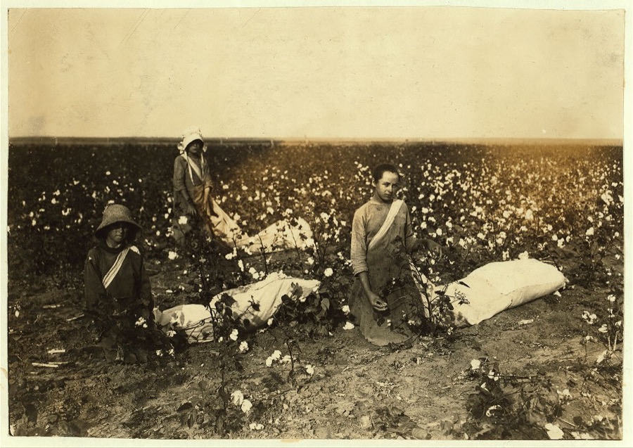 [Children of Mrs. Lawrence, a renter near Tinney, Okla. They go to Prairie Lee School. Beula is 13 years old and picks about 200 pounds a day when cotton is good. She drags and carries a bag that holds 50 pounds and more before it is emptied. Norma is 10 years old and picks from 100 to 150 pounds a day. Drags the sack which often holds 50 pounds or more before emptied. Randall is 9 years old; has picked over 100 pounds a day--usually less. He does not carry quite so large a sackful as his sisters.]  Location: [Comanche County, Oklahoma