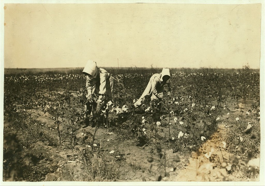 Hazel Davis, Tinney, Okla. 7 years old. Picks 50 pounds of cotton in half a day, according to testimony of father and brother. Father owns farm. Hazel goes to Prairie Lee School.  Location: Comanche County, Oklahoma