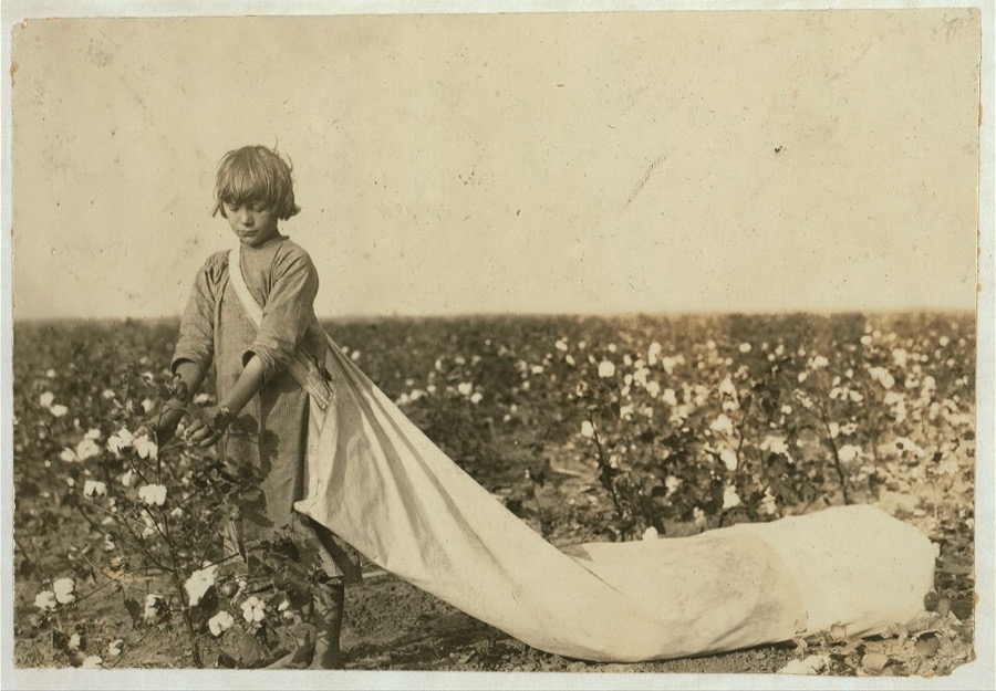 Norma Lawrence is 10 years old and picks from 100 to 150 pounds of cotton a day. Drags the sack which often hold 50 pounds or more before emptied. Lewis W. Hine. See 4569.  Location: Comanche County, Oklahoma