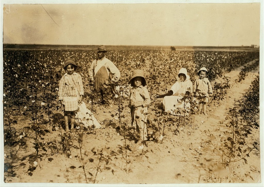 Family of C.J. Walker, Route 2, Box 78, Geronimo, Oklahoma. 6-year old Jewel and 5-year old Harold picks 20 to 25 pounds of cotton a day. Father said: "I promised em a little wagon if they'd pick steady, and now they have half a bagful in just a little while." The 3-year old is learning to pick. Father is a renter on shares: gives 1/4 of his cotton for rent, and 1/3 of his corn. Has 20 acres in cotton. Location: Comanche County--[Geronimo], Oklahoma