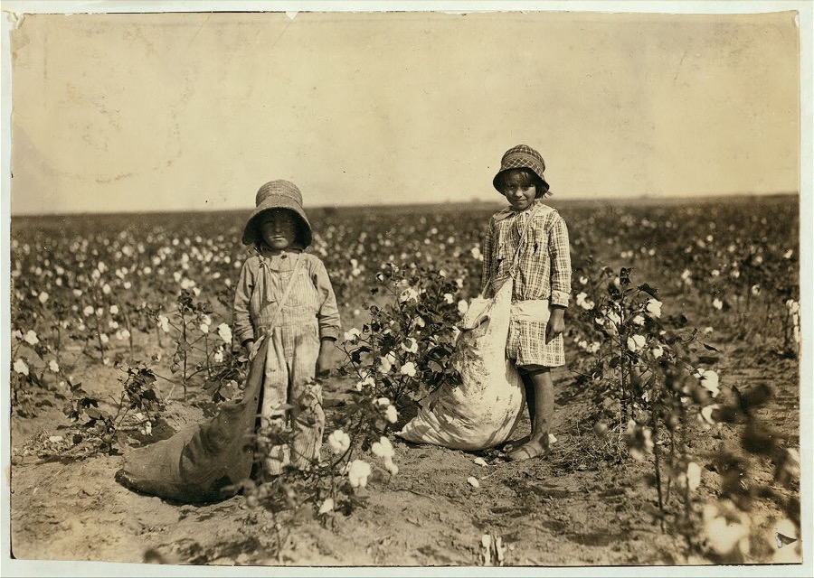 Jewel and Harold Walker, 6 and 5 years old, pick 20 to 25 pounds of cotton a day. Father said: "I promised em a little wagon if they'd pick steady, and now they have half a bagful in just a little while." See 4564. Location: Comanche County--[Geronimo], Oklahoma