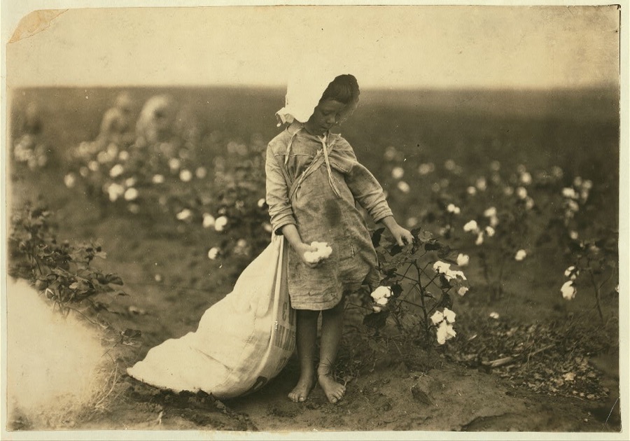 Vera Hill, 5 years old picks 25 pounds a day. See 4580.  Location: Comanche County, Oklahoma