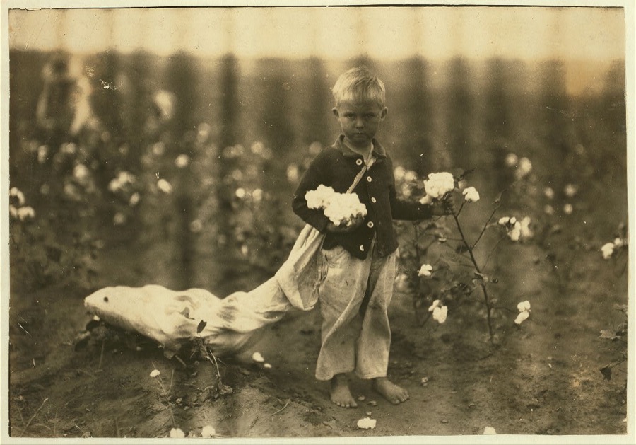 Fred Hill, 3 years old, sometimes picks 20 pounds of cotton a day. See 4580.  Location: Comanche County, Oklahoma