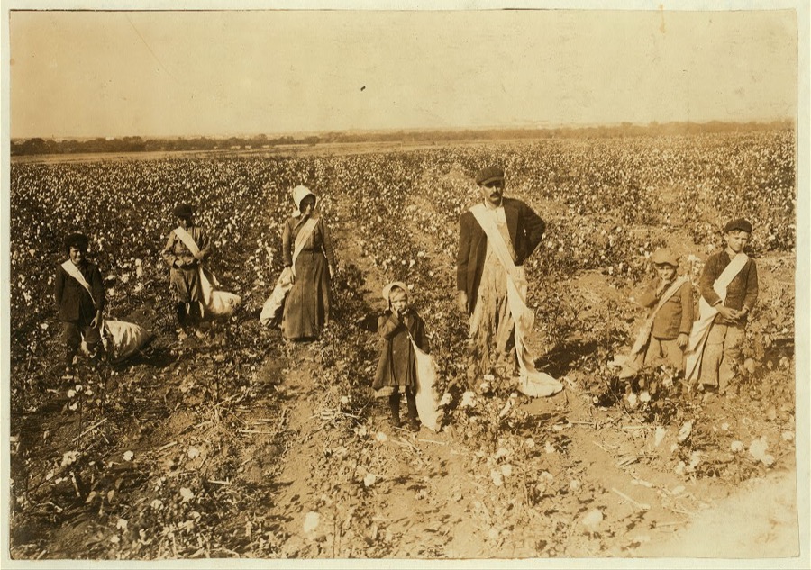 Family of L.H. Kirkpatrick, Route 1, Lawton, Okla. Children go to Mineral Wells School #39. Father, mother and five children (5, 6, 10, 11 and 12 years old) pick cotton. "We pick a bale in four days." Dovey, 5 years old, picks 15 pounds a day (average) Mother said: "She jess works fer pleasure." Ertle, 6 years, picks 20 pounds a day (average) Vonnnie, 10 years, picks 50 pounds a day (average) Edward, 11 years, picks 75 pounds a day (average) Otis, 12 years, picks 75 pounds a day (average) Expect to be out of school for two weeks more picking. Father is a renter. Works part of farm on shares (gives 1/4 of cotton for rent) and part of farm he pays cash rent.  Location: Comanche County, Oklahoma