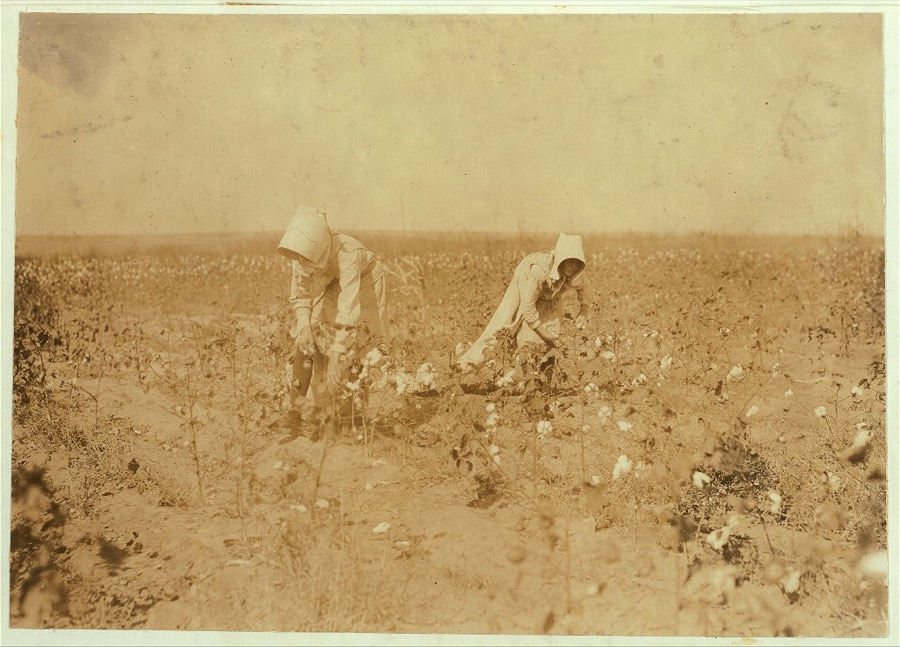 Edith, 11 years old and Blanche 13. Each picks about 100 pounds of cotton a day. Go to Beaver Bend School when through. Father, W.T. Rumage, Route 1, Lawton, Okla.  Location: Comanche County, Oklahoma