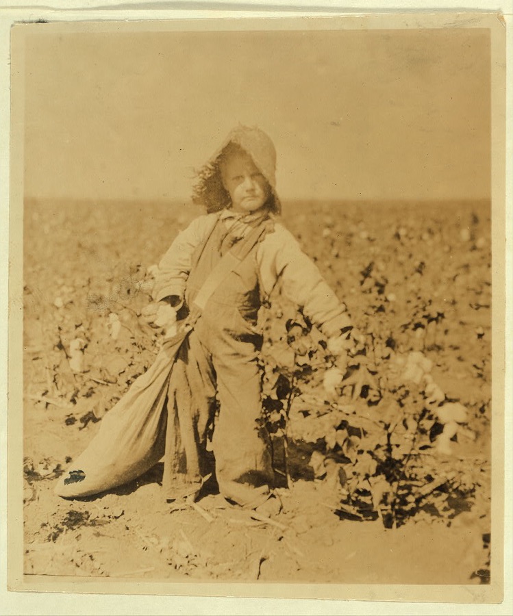 Mart Payne, 5 years old, picks from10 to 20 pounds a day. Mother said: "Mart, he haint old nuff to go to school much, but he kin pick his 20 pounds a day. Mostly 10 or 15 pounds." See 4560. Lewis W. Hine, photo.  Location: Comanche County, Oklahoma