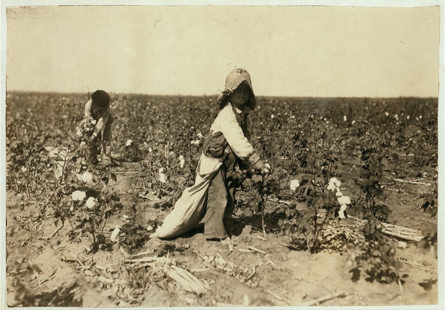 [Mart Payne, 5 years old, picks from 10 to 20 pounds a day. Mother said: "Mart, he haint old nuff to go to school much, but he kin pick his 20 pounds a day. Mostly 10 or 15 pounds." See 4560.]  Location: [Comanche County, Oklahoma