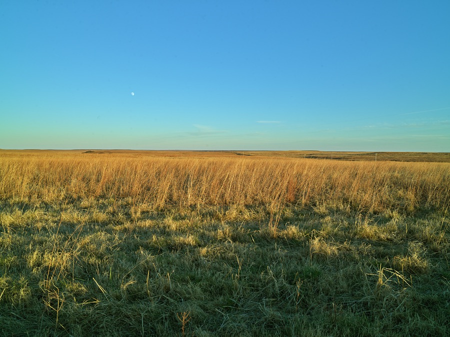 Scene in the Joseph H. Williams Tallgrass Prairie Preserve, owned and managed by the Nature Conservancy near the town of Foraker, in Osage County, Oklahoma
