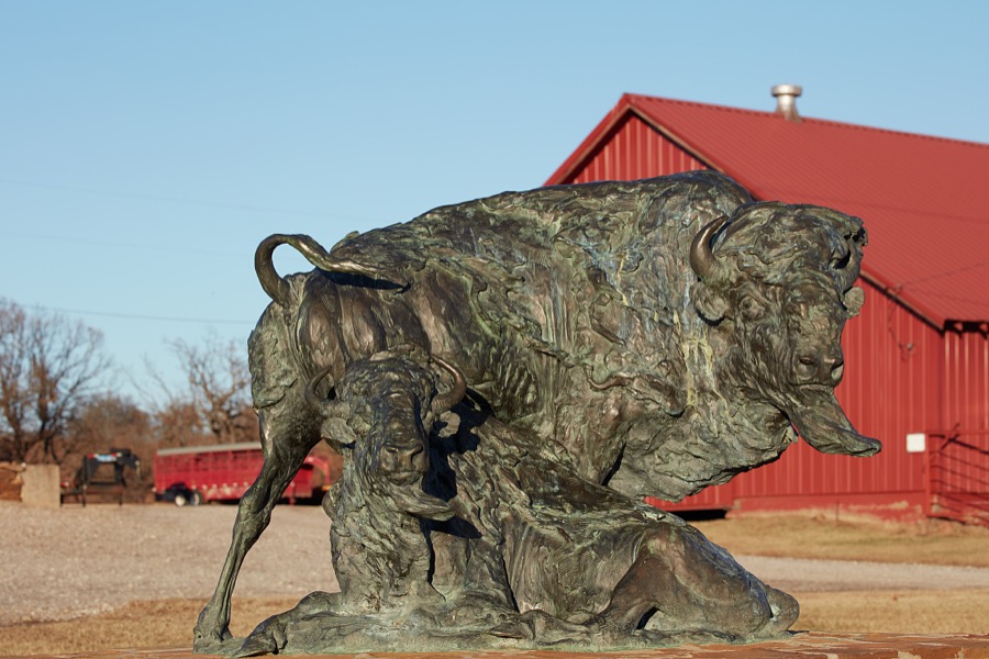 Bison sculpture at the visitor center of the Joseph H. Williams Tallgrass Prairie Preserve, owned and managed by the Nature Conservancy near the town of Foraker, in Osage County, Oklahoma