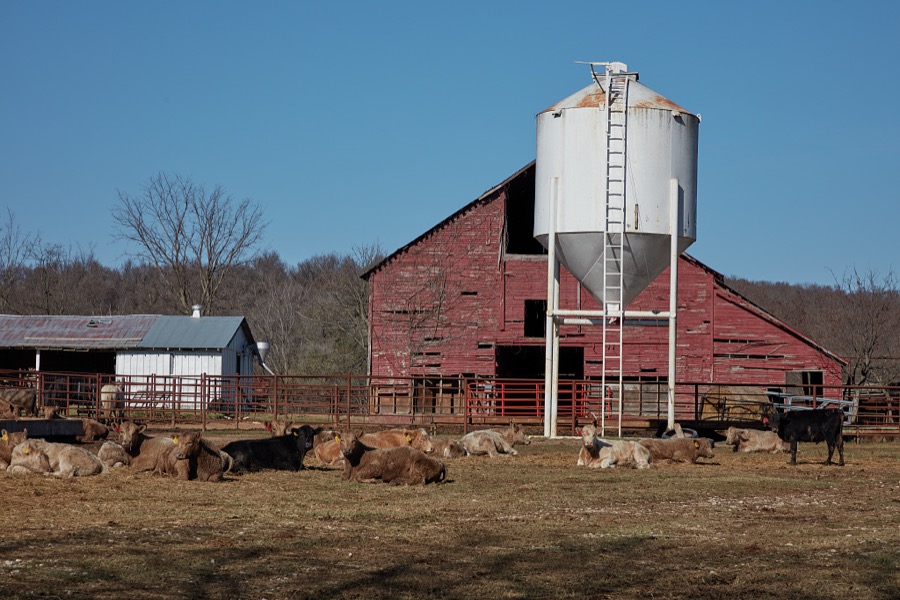Barn and silo at the farmstead of the Candy Creek Ranch near Barnsdall in Osage County, Oklahoma