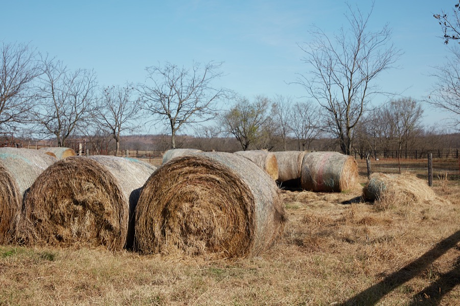 Hay rolls, ready for winter storage at the Candy Creek Ranch near Barnsdall in Osage County, Oklahoma