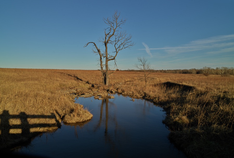 A lone tree and pond in the Joseph H. Williams Tallgrass Prairie Preserve, owned and managed by the Nature Conservancy near the town of Foraker, in Osage County, Oklahoma