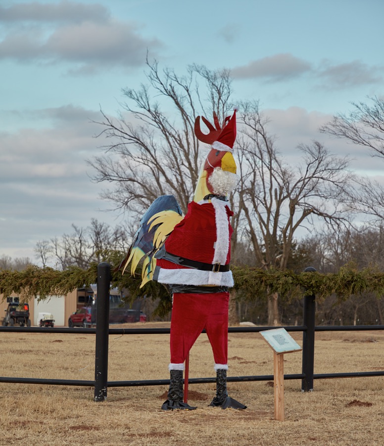 It's somewhat unusual that farmer Bobby Stuart would mount an oversized chicken figure outside his spread's gate near what remains of an old town (ghost town is more like it) named Bridgeport, Oklahoma
