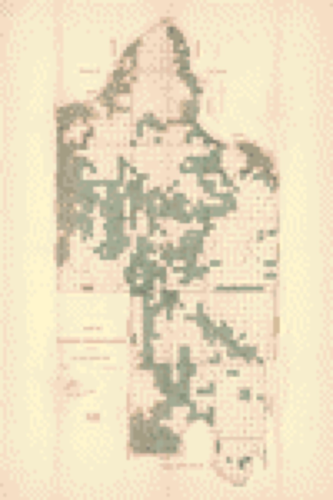 Land ownership map, 1893 - Map of Pawnee Reservation showing allotments