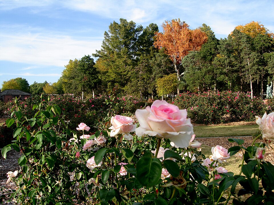 Photograph of Will Rogers Gardens