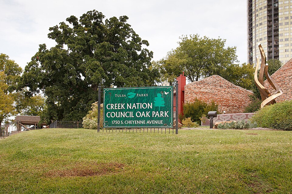 Photograph of Creek Council Oak Tree