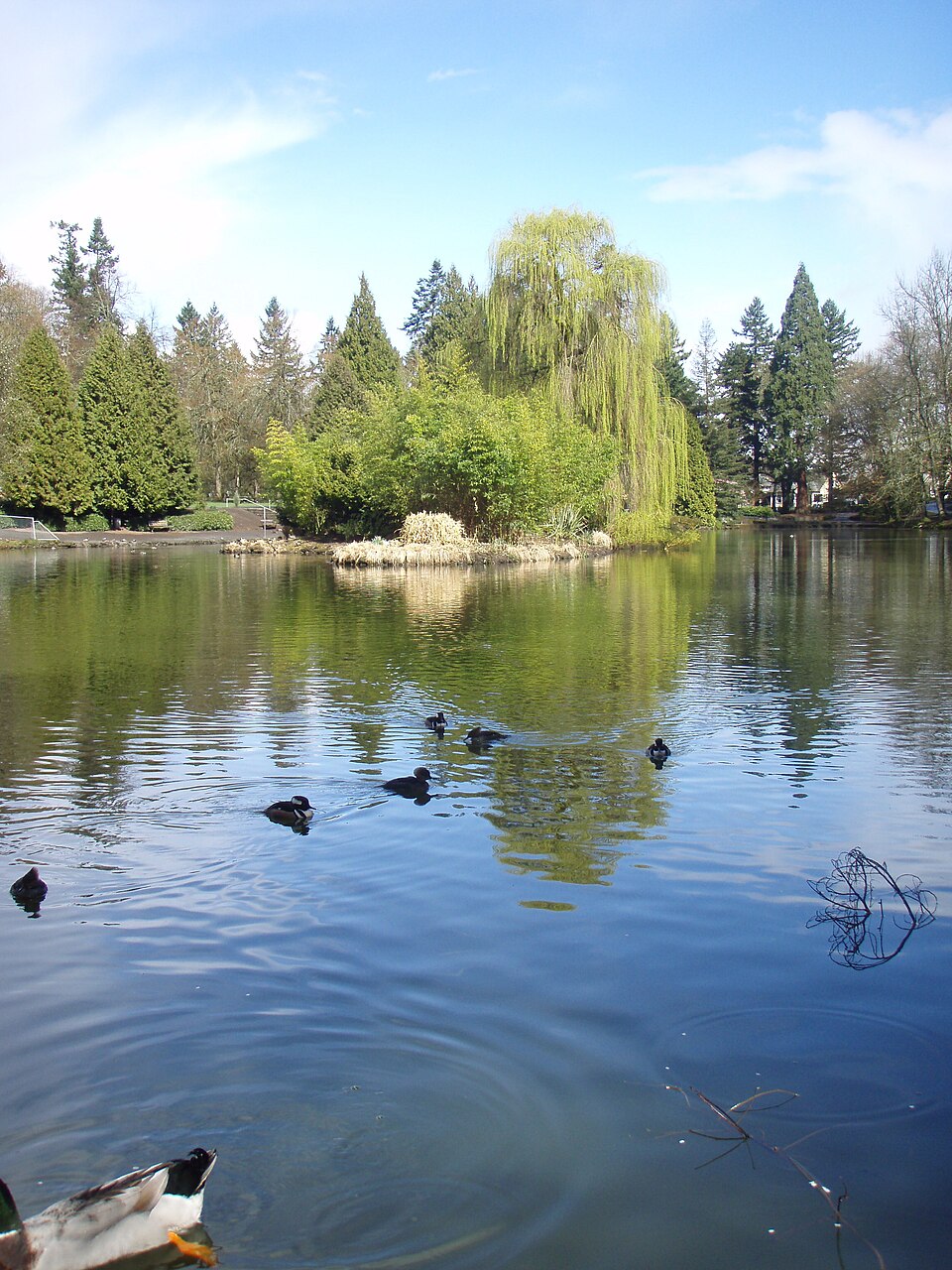Photograph of Laurelhurst Park