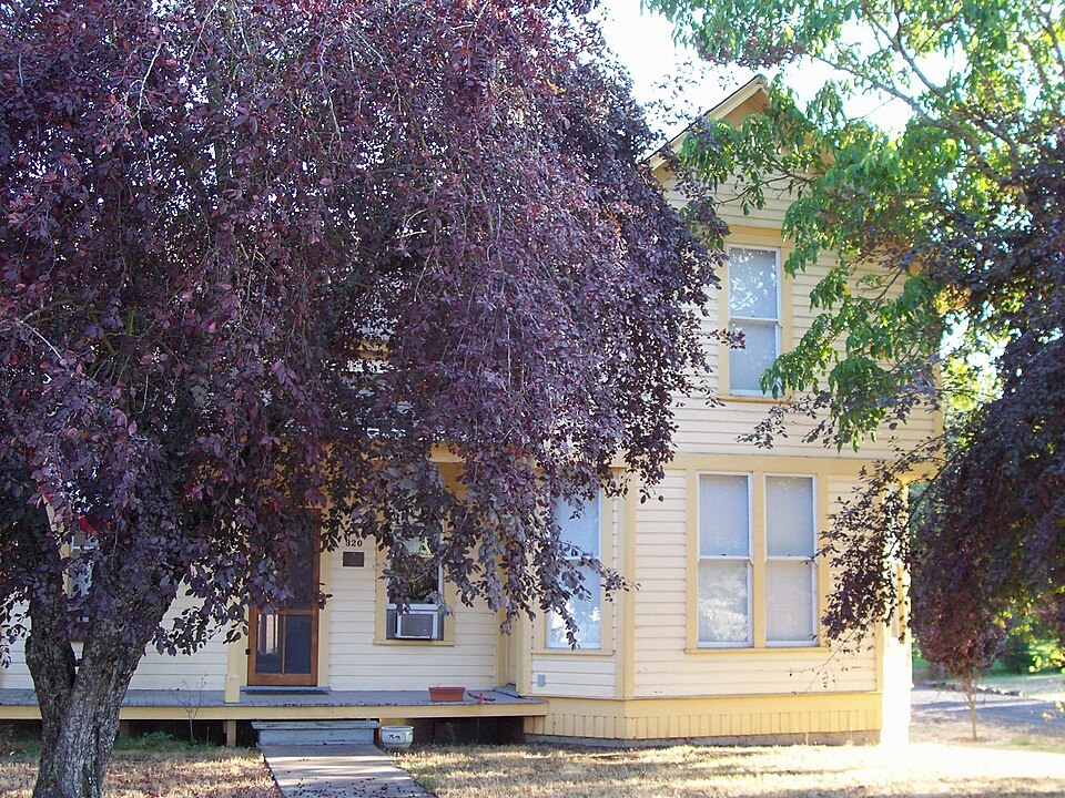 Photograph of John and Mary Moore House