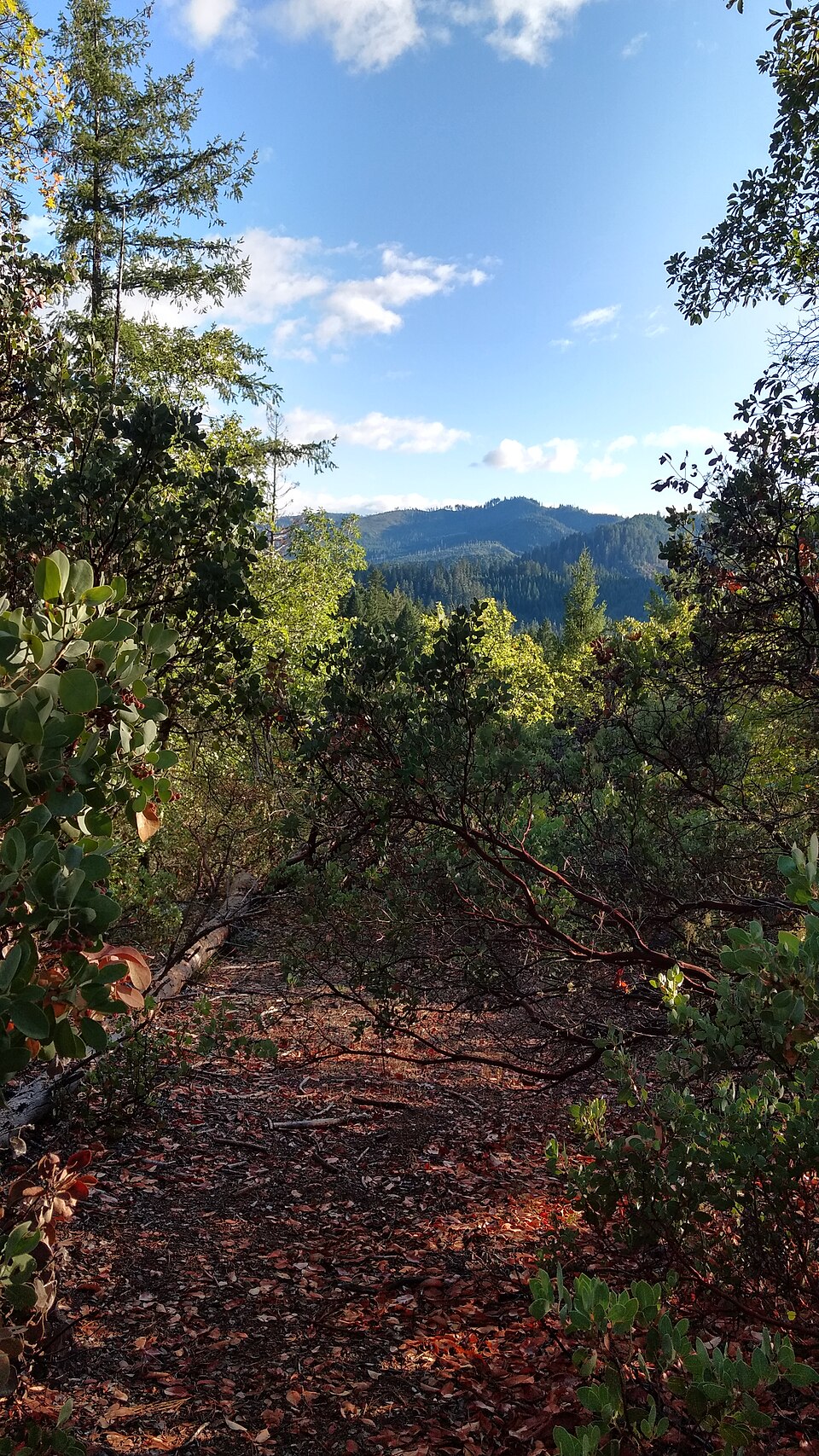 Photograph of Osgood Ditch