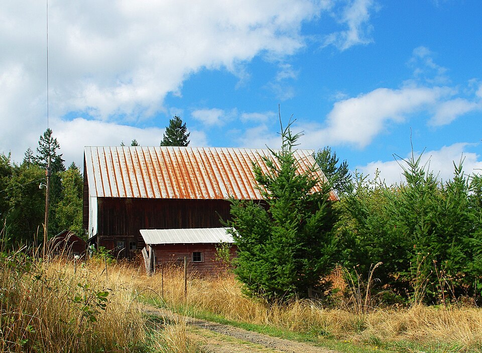 Photograph of J. S. and Melinda Waggener Farmstead