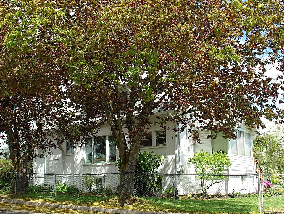 Photograph of John and Elsie Parsons House