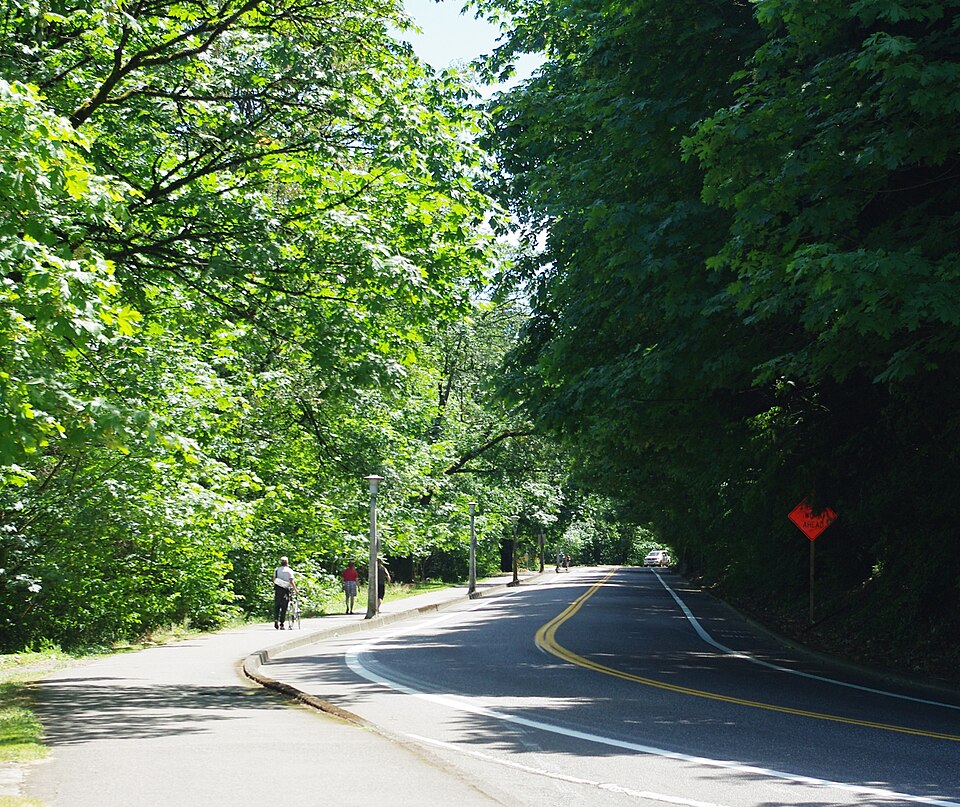Photograph of Terwilliger Boulevard