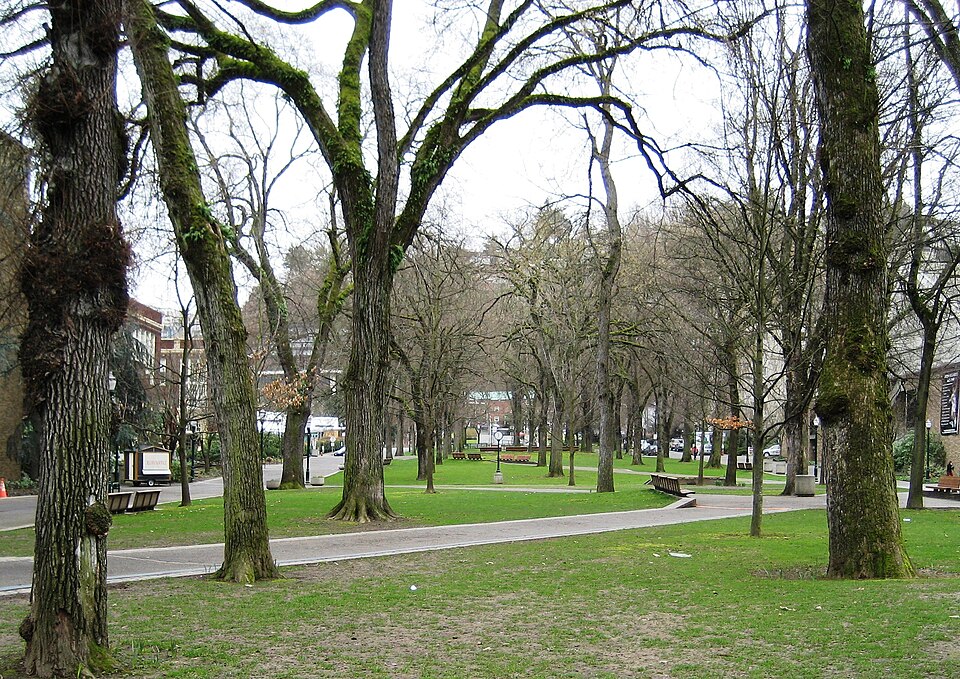 Photograph of South Park Blocks