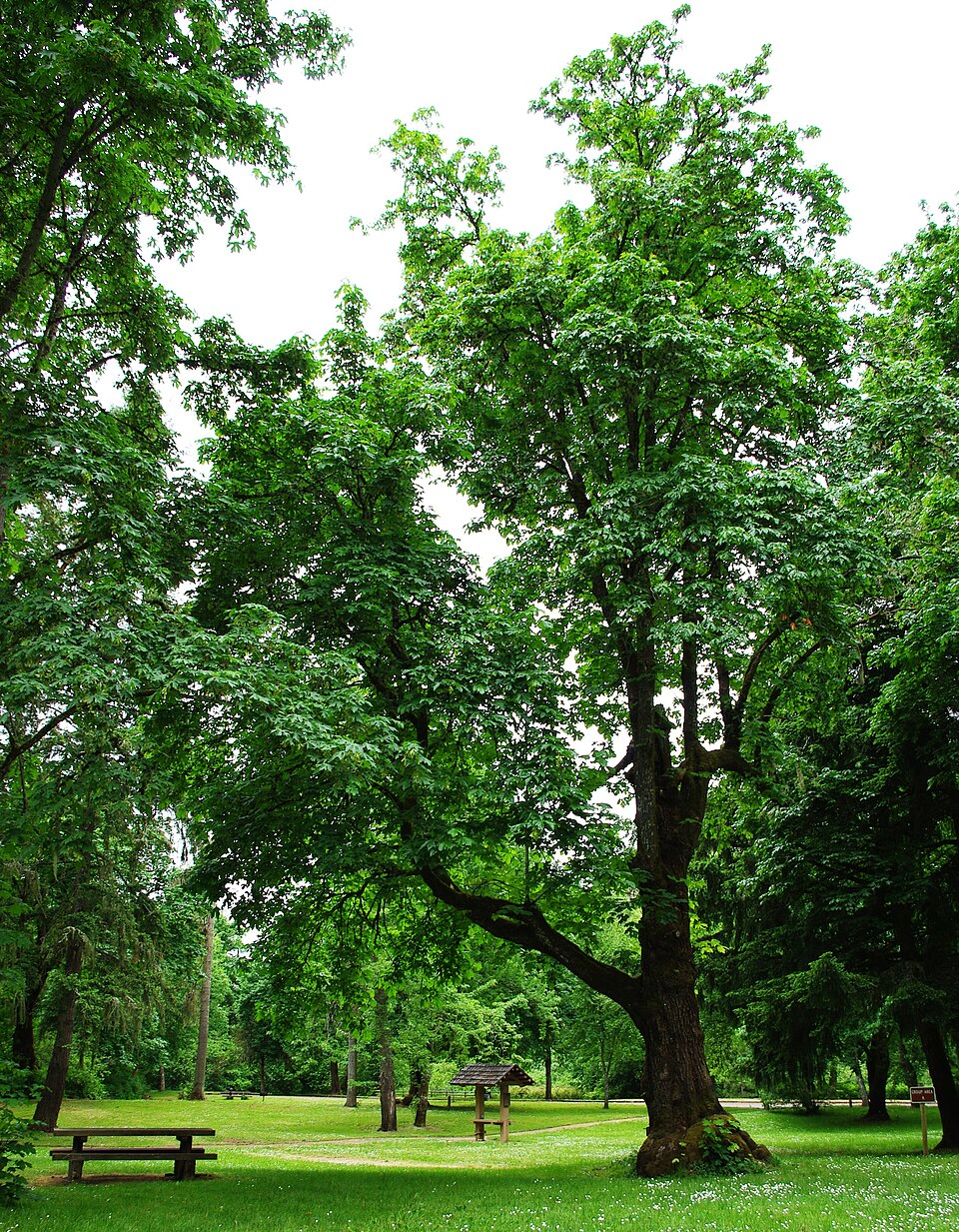 Photograph of Sarah Helmick State Recreation Site