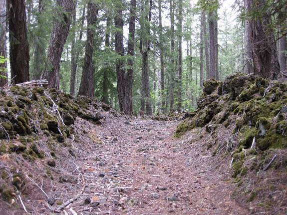 Photograph of Santiam Wagon Road