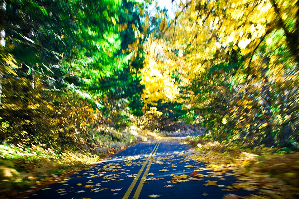Photograph of Oregon Route 242