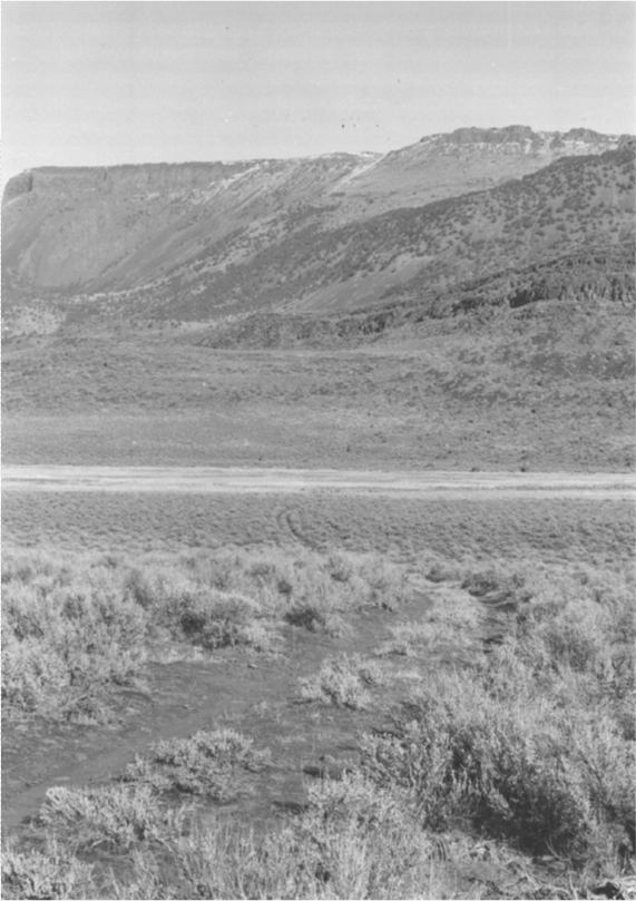 Photograph of Stone Bridge and the Oregon Central Military Wagon Road