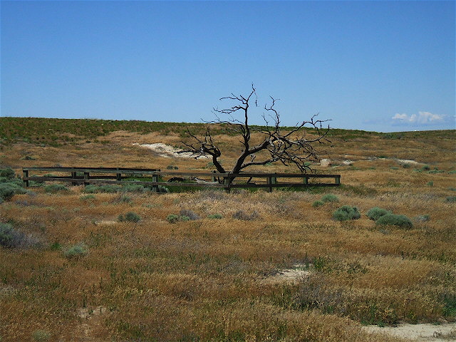 Photograph of Wells Springs Segment