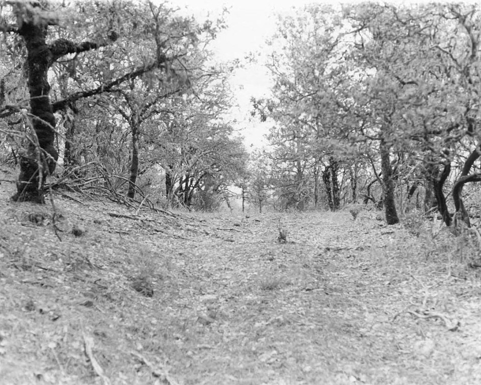 Photograph of Jacksonville-to-Fort Klamath Military Wagon Road