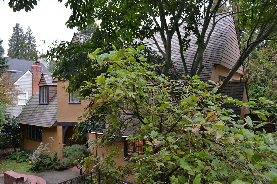 Photograph of Martin Luther Pipes House