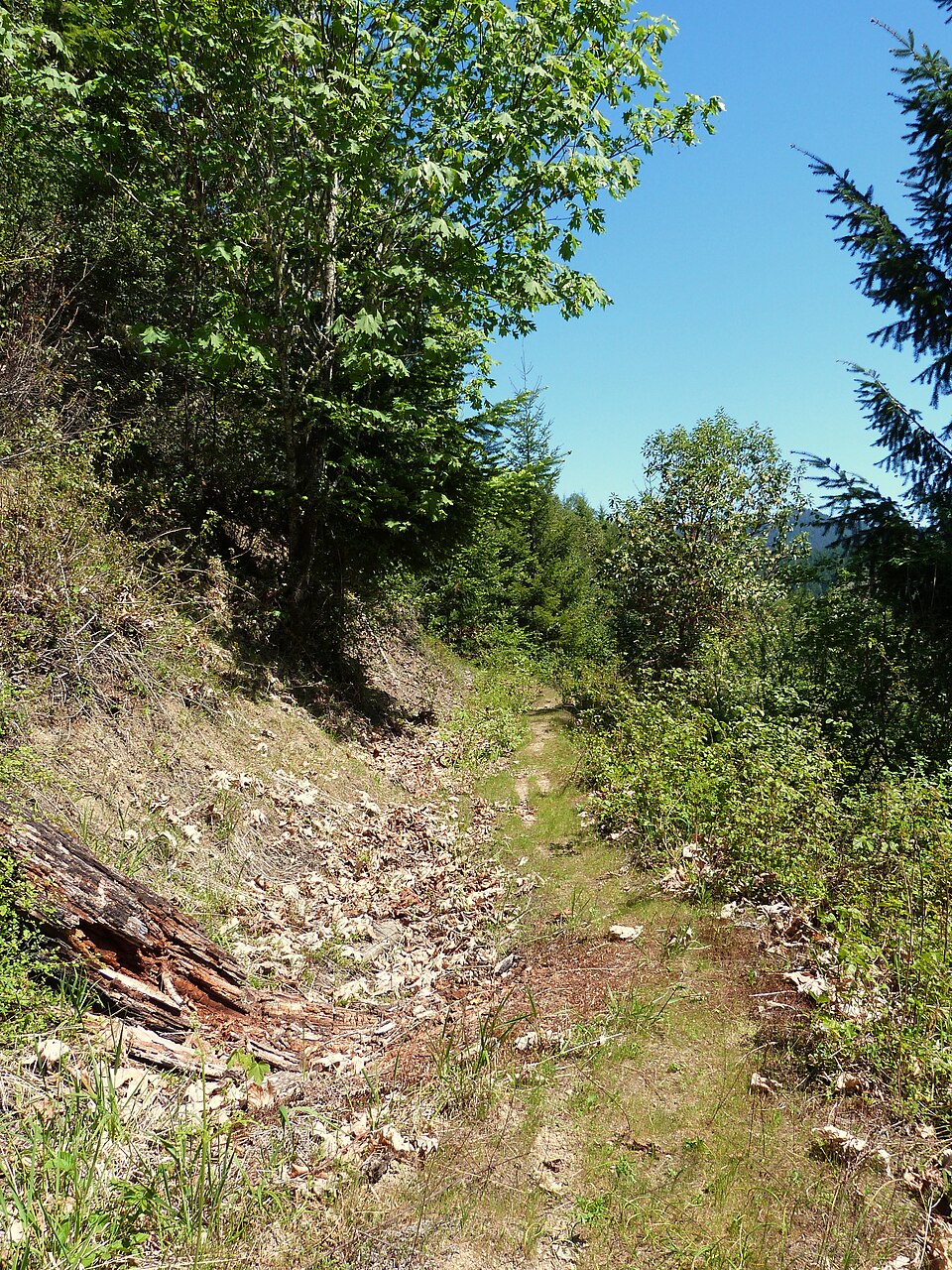 Photograph of China Ditch