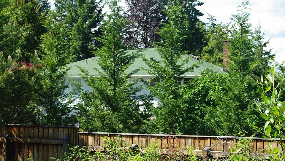 Photograph of Harold Wass Ray House