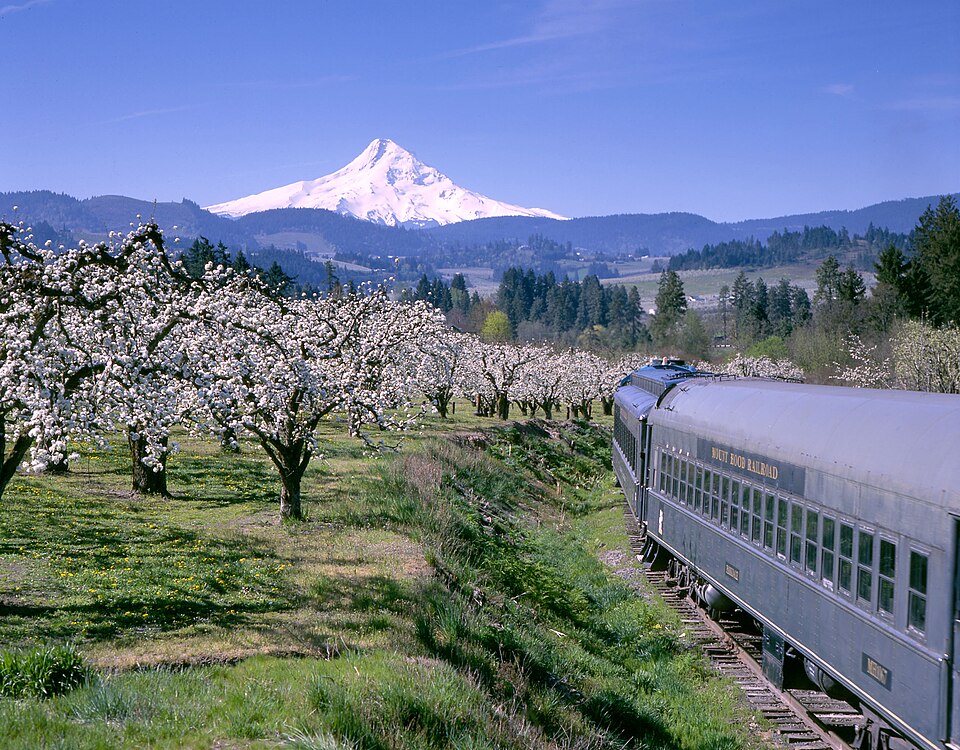 Photograph of Mount Hood Railroad