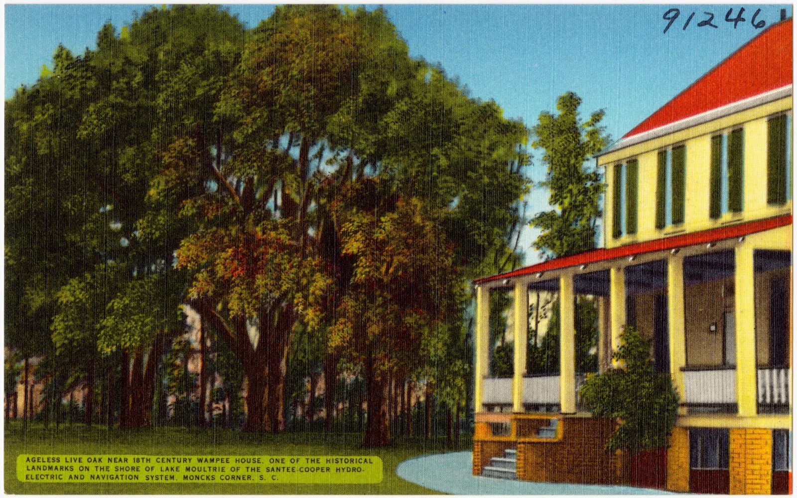 Ageless Live Oak near 18th Century Wampee House, one of the historical landmarks on the shore of Lake Moultrie of the Santee-Cooper Hydro-Electric and Navigation System, Moncks Corner, S. C., Boston Public Library - undated