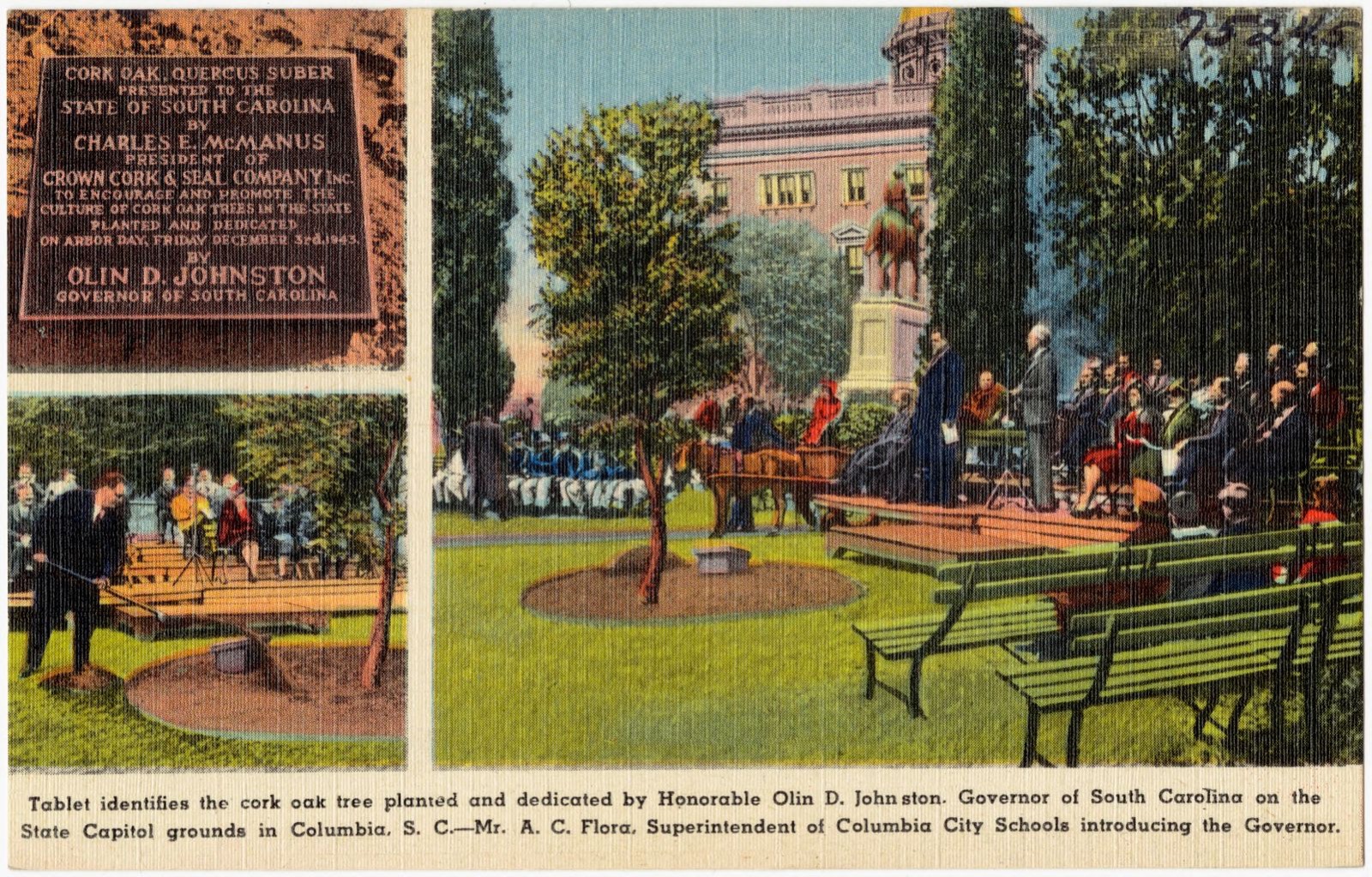 The Cork Tree, Boston Public Library - undated