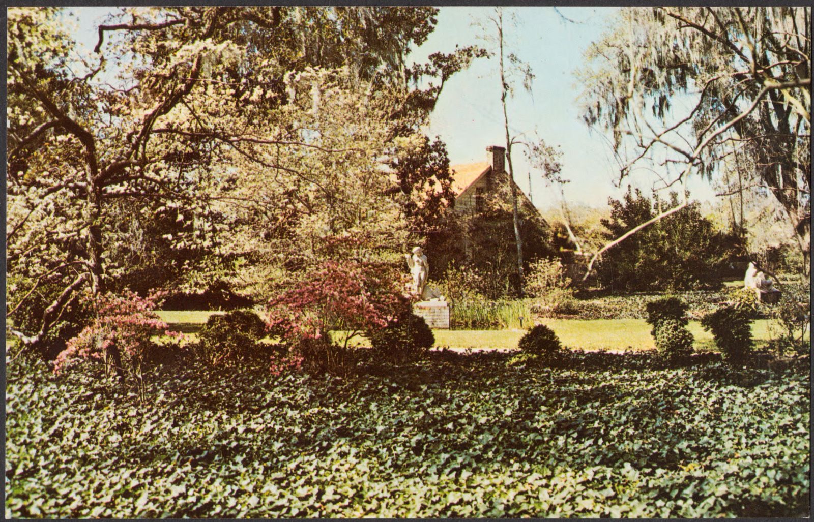 Garden scene at Brookgreen Gardens, Murrells Inlet, S.C., Boston Public Library - undated
