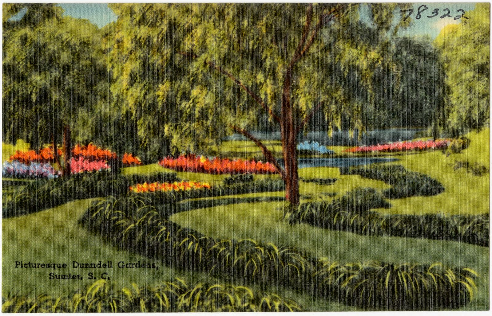 Picturesque Dunndell Gardens, Sumter, S. C., Boston Public Library - undated