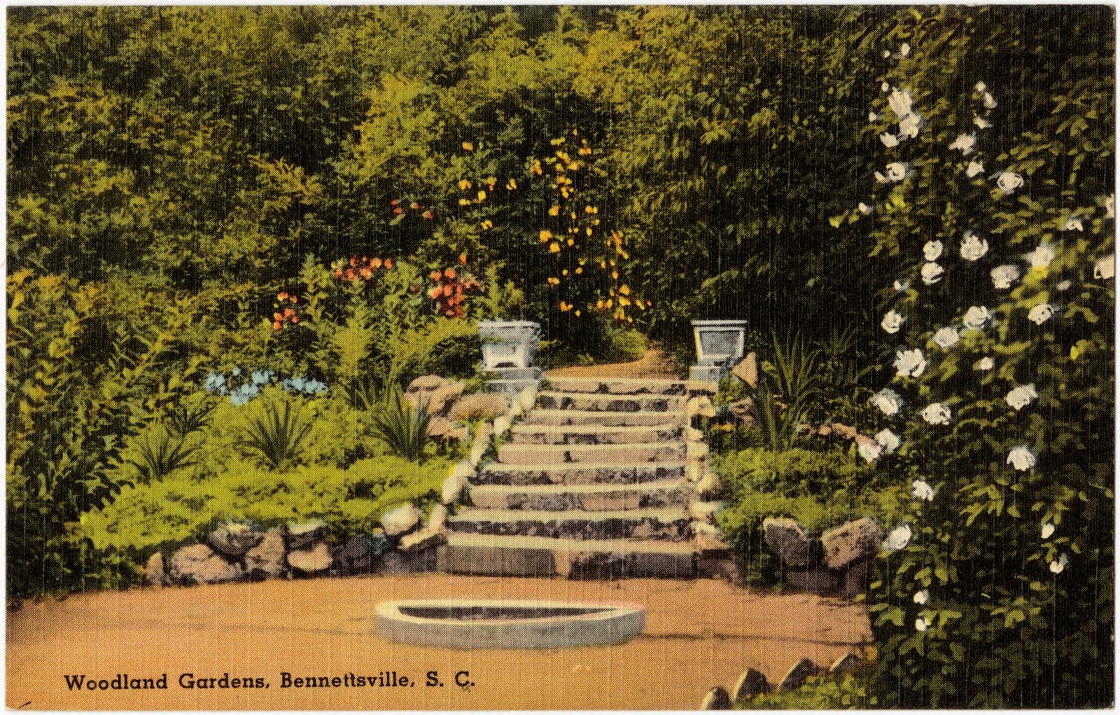 Woodland Gardens, Bennettsville, S. C., Boston Public Library - undated
