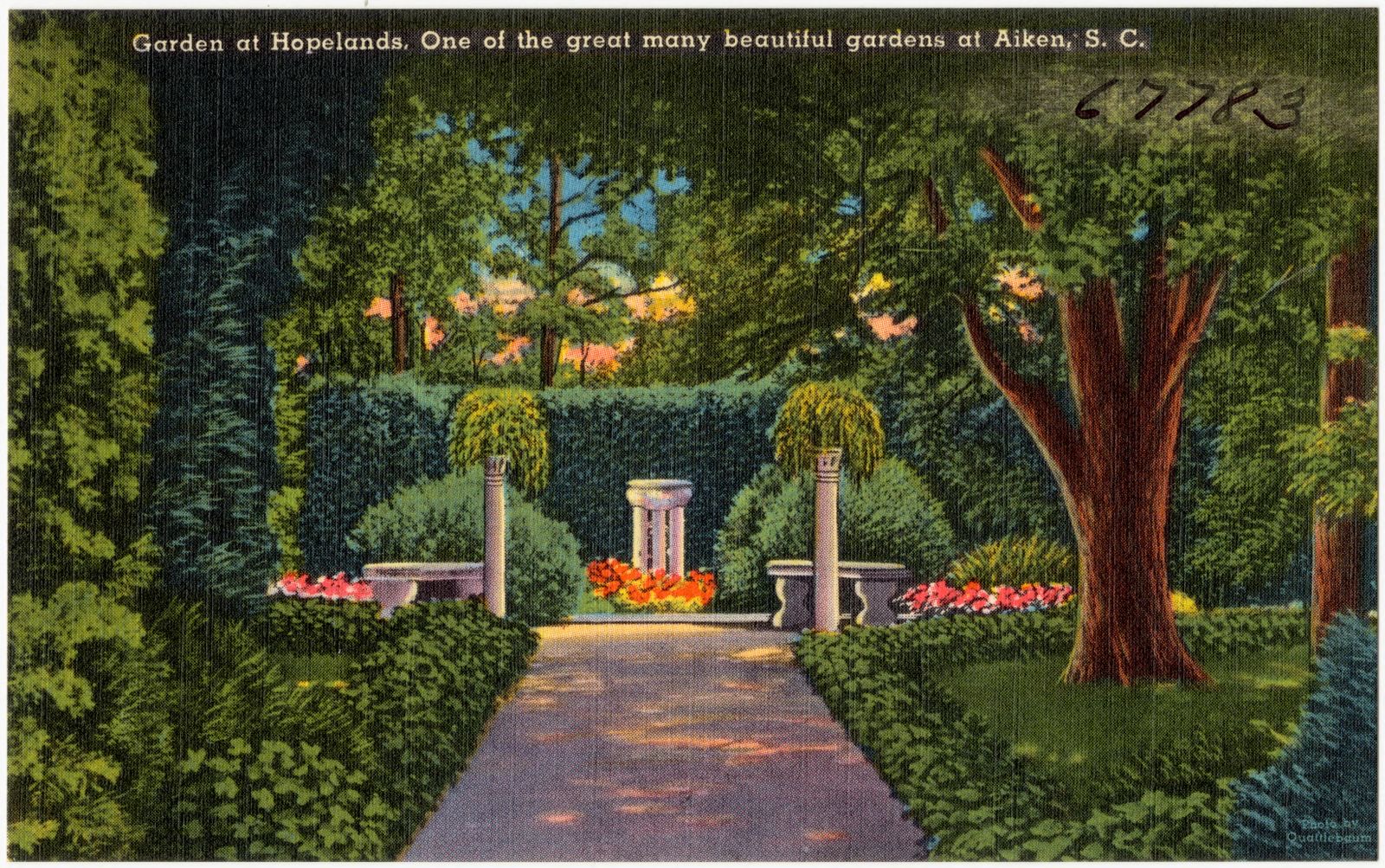 Garden at Hopelands, one of the great many beautiful gardens at Aiken, S. C., Boston Public Library - undated