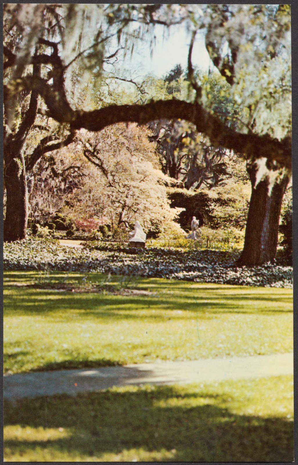 Garden scene at Brookgreen Gardens, Murrells Inlet, S.C., Boston Public Library - undated